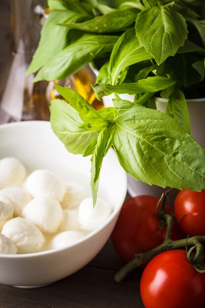 Składniki na sałatkę caprese: pomidor, mozzarella, świeża bazylia, oliwa, przyprawy