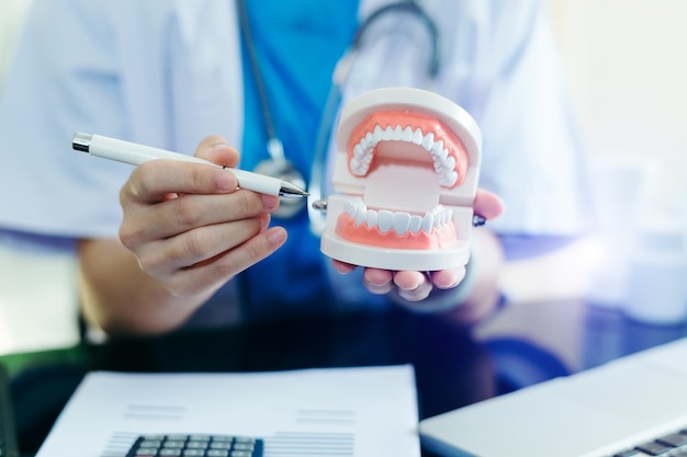 Skoncentrowany dentysta siedzący przy stole z próbkami modelu zęba i pracy z tabletem i laptopem w profesjonalnej klinice stomatologicznej gabinetu dentystycznego.