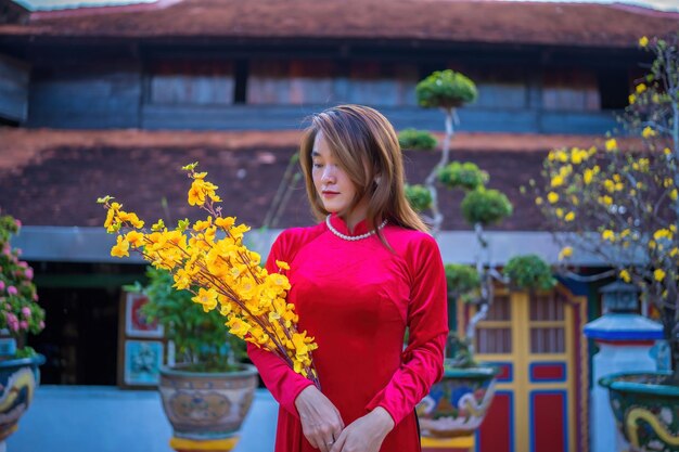 Skoncentruj się młoda dziewczyna ubrana w czerwone Ao Dai i trzymająca kwiat Ochna integerrima Wietnamski nowy rok księżycowy Młode dziewczyny noszą wietnamską tradycję ao dai w święta Tet