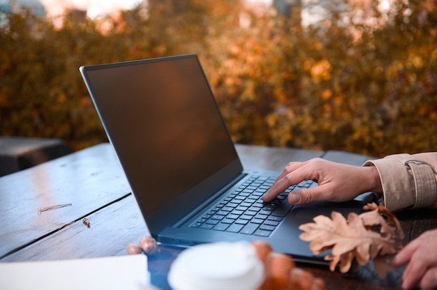 Zdjęcie skoncentruj się na kobiecie trzymającej liść dębu i piszącej na klawiaturze laptopa z miejscem na kopię na pustym ekranie monitora, podczas pracy zdalnej na zewnątrz na wsi z promieniami słonecznymi padającymi przez dęby