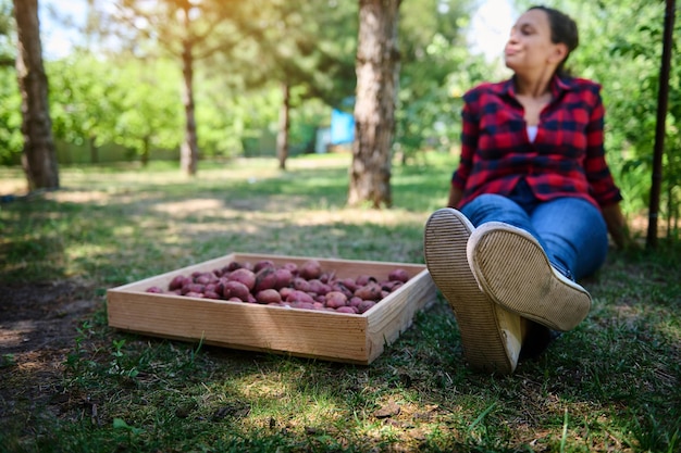 Skoncentruj Się Na Podeszwie Trampek Niewyraźnej Farmerki Leżącej Na Podwórku Obok Skrzyni świeżo Wykopanych Ziemniaków