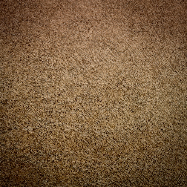 Zdjęcie skóra skóra tło