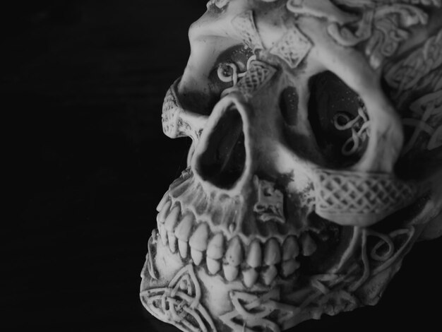 Skull Head