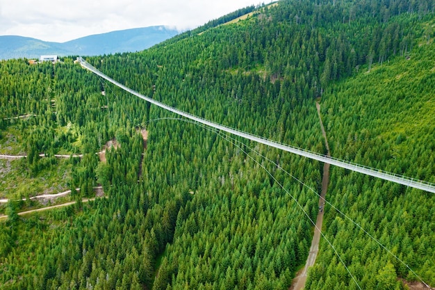 Sky Bridge To Najdłuższy Most Wiszący Między Dwoma Wzgórzami W Lesie Dolni Morava Republika Czeska