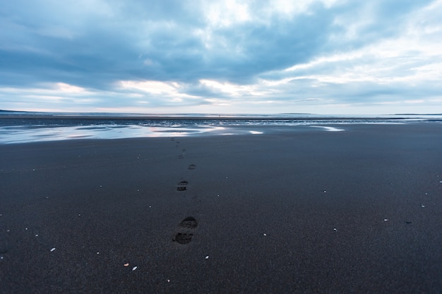 Ślad oceanu arktycznego na plaży nad Morzem Północnym