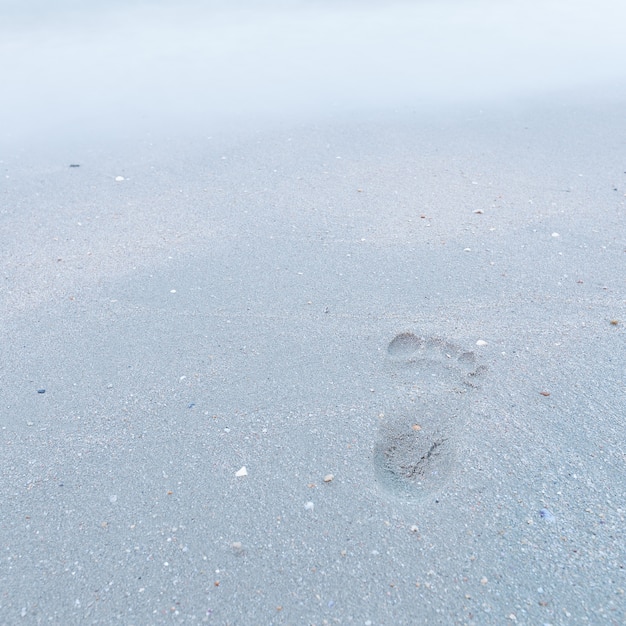 Ślad stóp na plaży