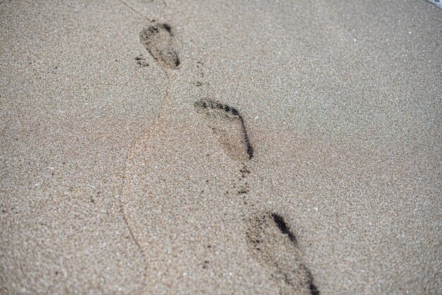 Ślady na mokrym piasku plaży.