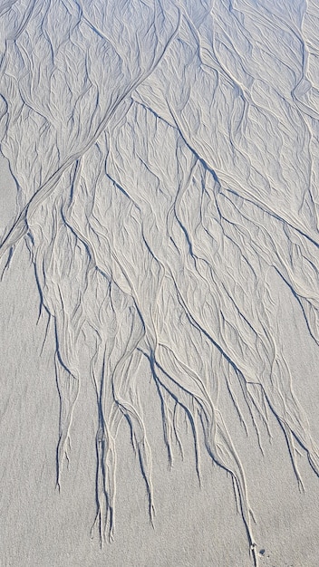 Ślady na piasku z wody morskiej Tekstury