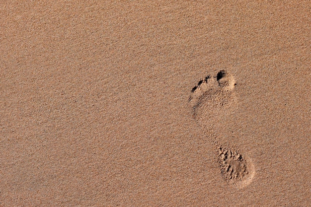 Ślady na piaszczystej plaży