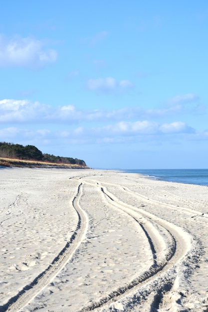 Zdjęcie Ślady opon na piasku na plaży