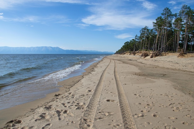 Ślady Samochodowe Wzdłuż Brzegu Jeziora Na Piaszczystej Plaży