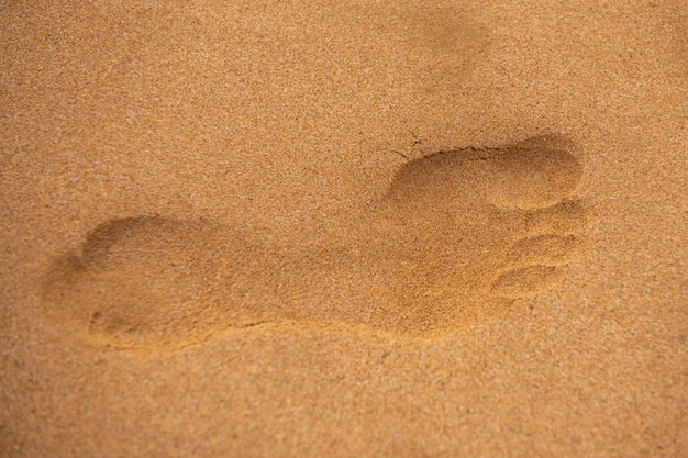 Ślady stóp boso na piasku pustyni odcisk stopy na piaszczystej plaży z bliska