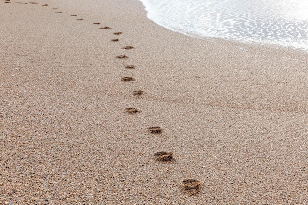 Ślady stóp na piaszczystej plaży wzdłuż brzegu wody Relaks i wakacje w ośrodku