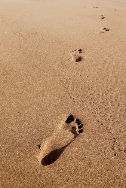 ślady stóp na plaży letni piasek