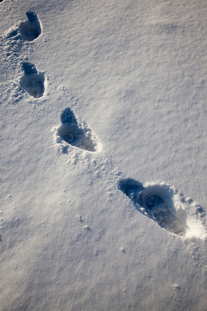 Ślady Stóp Na Zaspach Po Przejściu Przez śnieg Człowieka, Sezon Zimowy W Przyrodzie