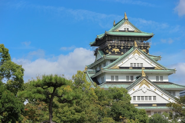 Sławny turystyka krajobrazu widok Osaka kasztel z zielenią opuszcza drzewnego tło.