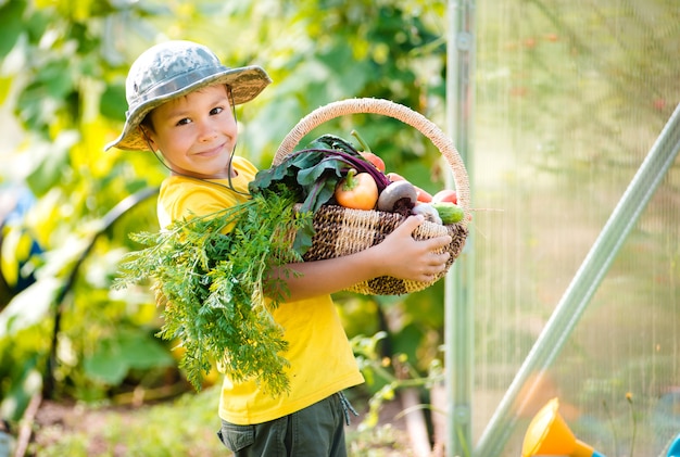 Śliczna chłopiec trzyma wiązkę świezi organicznie warzywa w domowym ogródzie.