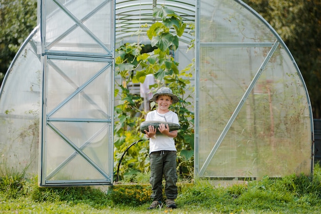 Śliczna Chłopiec Trzyma Wiązkę świezi Organicznie Warzywa W Domowym Ogródzie.