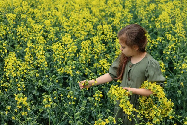 śliczna sześciolatka stoi na polu rzepaku i zbiera bukiet kwiatów