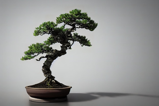 Śliczne drzewko bonsai z pustą przestrzenią 3d ilustrowane