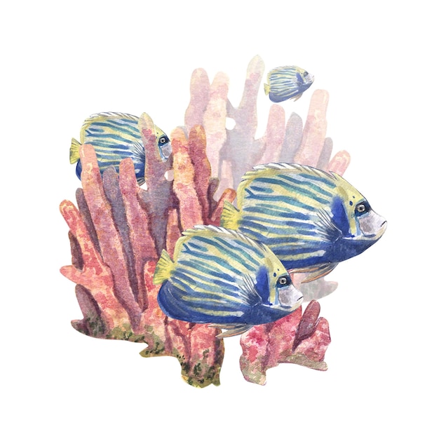 Śliczne tropikalne ryby na tle różowych koralowców z bąbelkami na białej akwareli ilustracji
