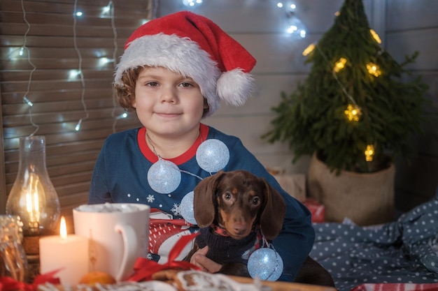 Śliczny chłopiec w santa hat i jamnik szczeniak w pokoju w pobliżu choinki