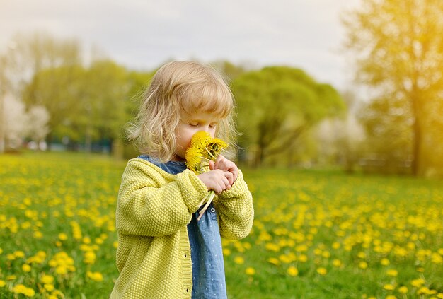 Śliczny małej dziewczynki odprowadzenie w parku z dandelion kwitnie