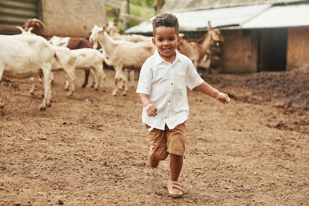 Śliczny mały chłopiec z Afryki jest na farmie w okresie letnim z kozami