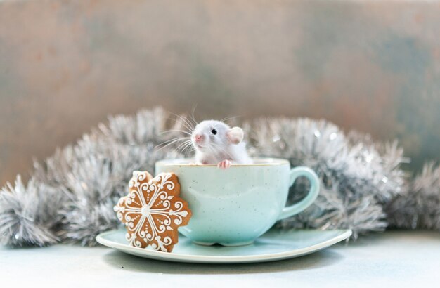 Śliczny Mały Szary Szczur, Mysz Siedzi W Dużym Niebieskim Kubku Z Piernikiem. Nowy Rok Szczura. Symbol Chiński Nowy Rok