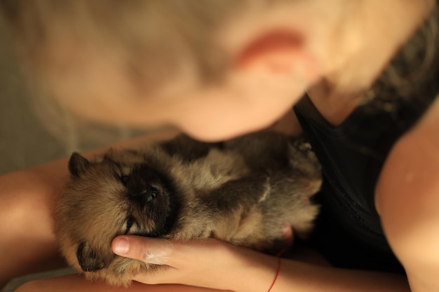 Zdjęcie Śliczny szczeniak pomeranian w rękach właściciela portret małego psa