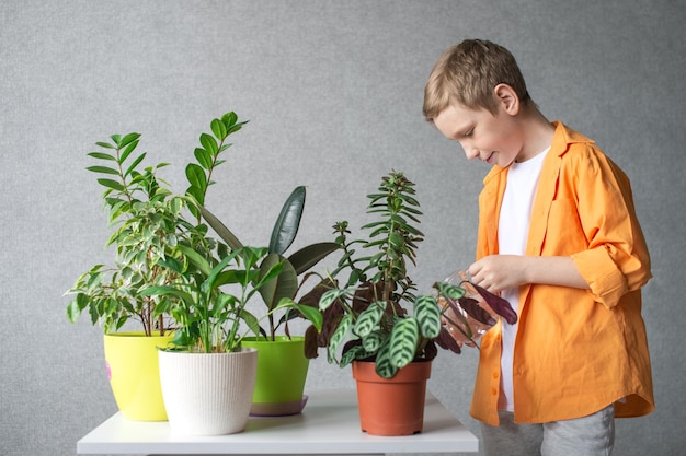 Słodki chłopiec dba o rośliny zielone w pomieszczeniach Sprawdza poziom wilgotności gleby