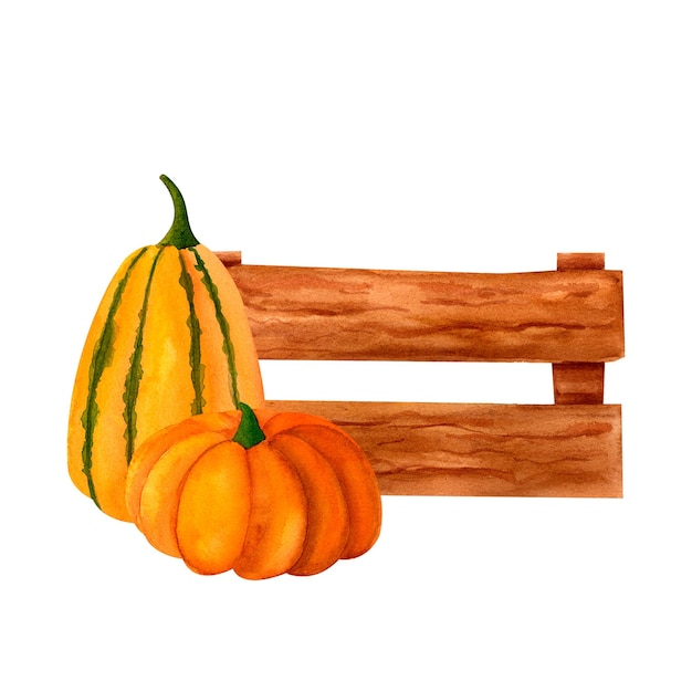 Słodki dyni z drewnianym ogrodzeniem lub pudełkiem akwarel realistyczna ilustracja botaniczna do drukowania zaproszenia karty na wakacje jesienne Święto Dziękczynienia Halloween festiwal zbiorów rynek rolniczy