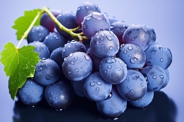 Słodki i przydatny Błękitny mokry gronek winogron Isabella jako element projektu opakowania