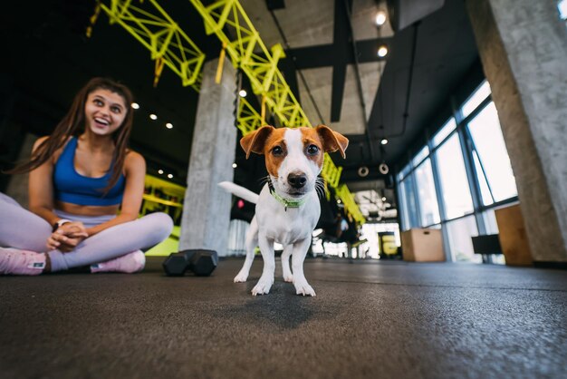 Słodki pies jack russell na siłowni z kobietą właścicielką