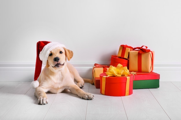 Słodki pies w czapce Świętego Mikołaja leżący na podłodze w pobliżu prezentów świątecznych