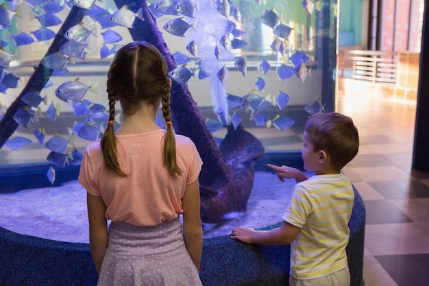 Słodkie dzieci patrząc na akwarium