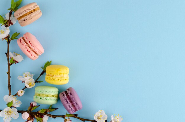 Słodkie Macarons Lub Makaroniki Ozdobione Kwitnącymi Kwiatami Moreli Na Pastelowym Niebieskim