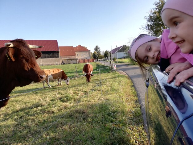 Słodkie Siostry Opierające Się O Okno Samochodu Na Farmie Przez Bydło