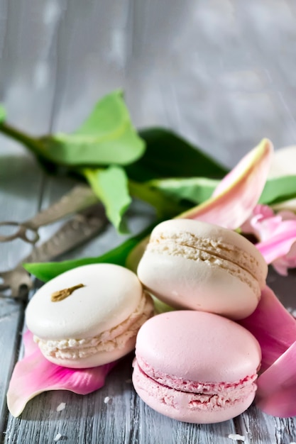 Słodkie waniliowe macarons francuskie