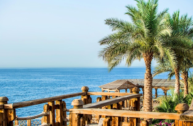 Słomiane parasole słoneczne na plaży na tle błękitnego morza i błękitnego nieba palmy drewniane przedłużenia