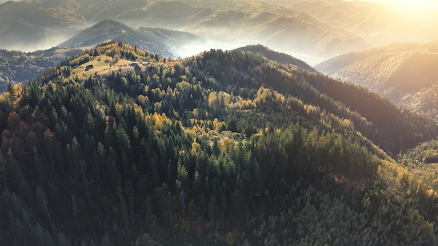 Słońce las sosnowy na szczycie góry antenowe jesienne drzewa o mgle mgła nikt natura krajobraz zielony góra