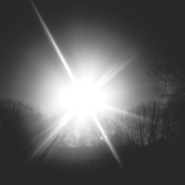 Zdjęcie słońce świeci przez drzewa.