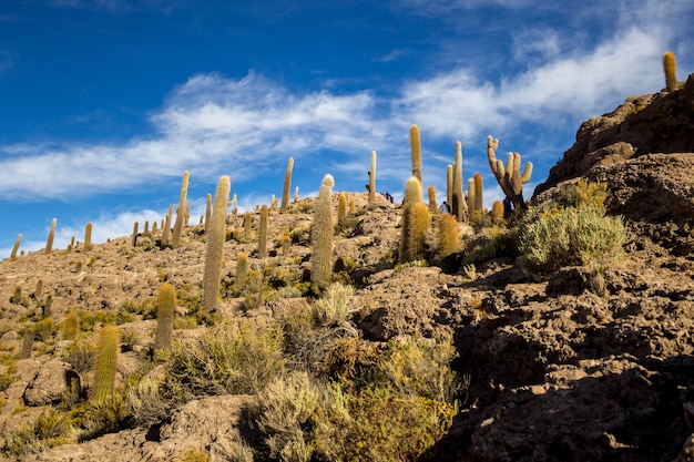 Słone bagna Uyuni w Boliwii piękne widoki zachody i wschody słońca