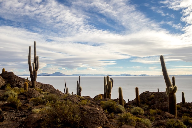 Słone bagna Uyuni w Boliwii piękne widoki zachody i wschody słońca