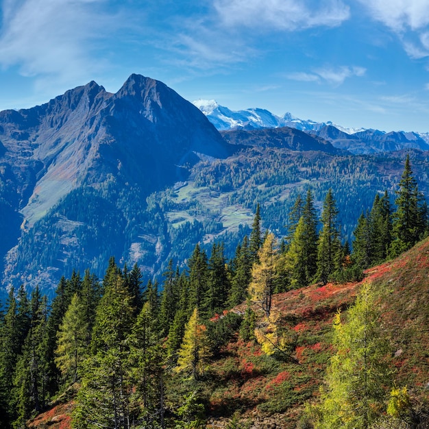 Słoneczna idylliczna jesienna scena alpejska Spokojne Alpy widok na góry ze ścieżki pieszej z Dorfgastein do jezior Paarseen Ziemia Salzburg Austria Malownicze wędrówki sezonowa scena koncepcji piękna przyrody