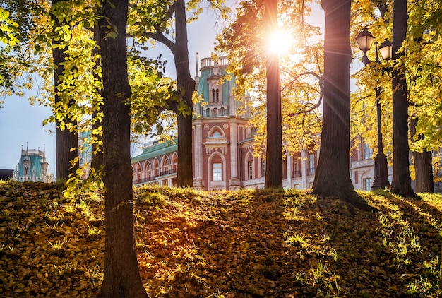 Słoneczna jesień w parku Carycyno w Moskwie