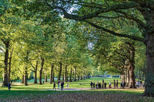 Zdjęcie słonecznie london