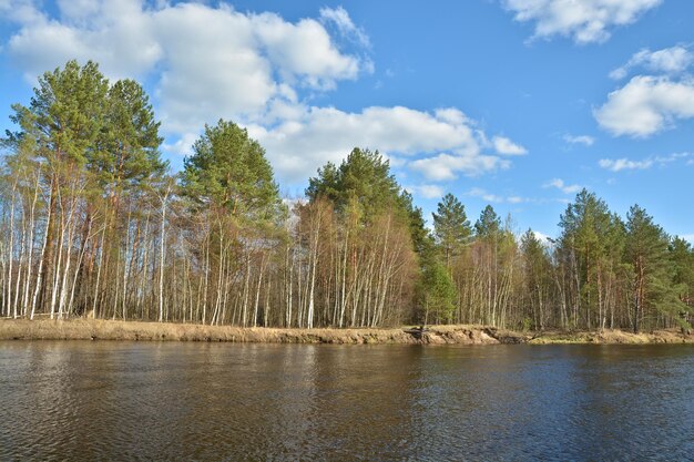 Słoneczny dzień nad wiosenną rzeką