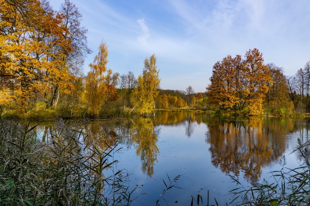 Słoneczny Jesienny Dzień Nad Jeziorem