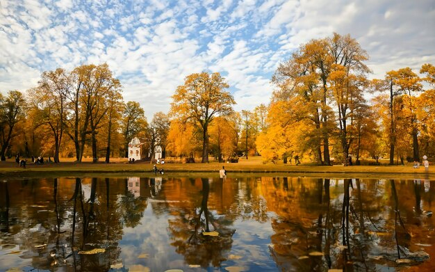 Słoneczny jesienny park publiczny z złotymi drzewami nad stawem i ludźmi chodzącymi